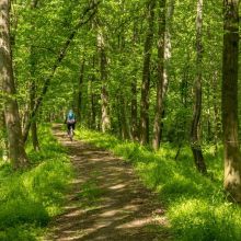 roznorodnosc nas wyroznia park krajobrazowy dolina bystrzycy  gmina katy wr.